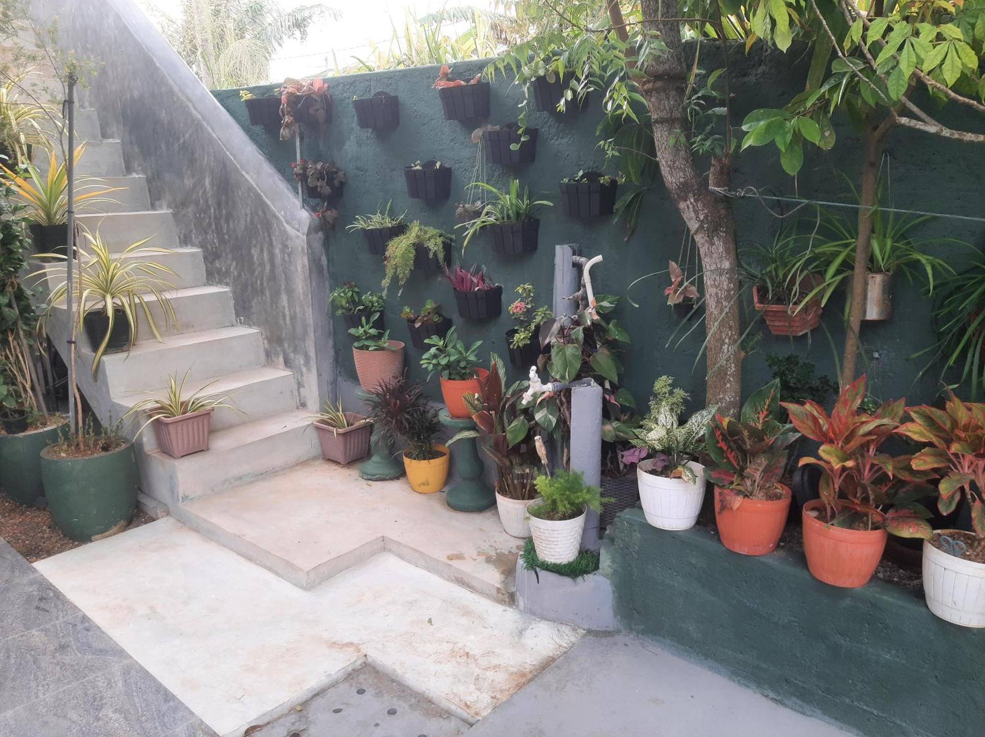 Weerakoon Garden Guest Otel Hikkaduwa Dış mekan fotoğraf